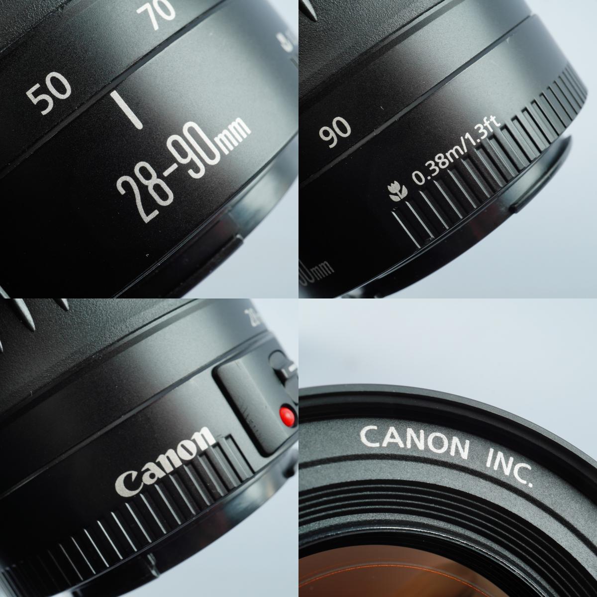 Canon EOS kiss 5 (Rebel Ti) + EF 28-90mm F/4-5.6 Ⅱ + 420EX AF フィルム一眼レフカメラ