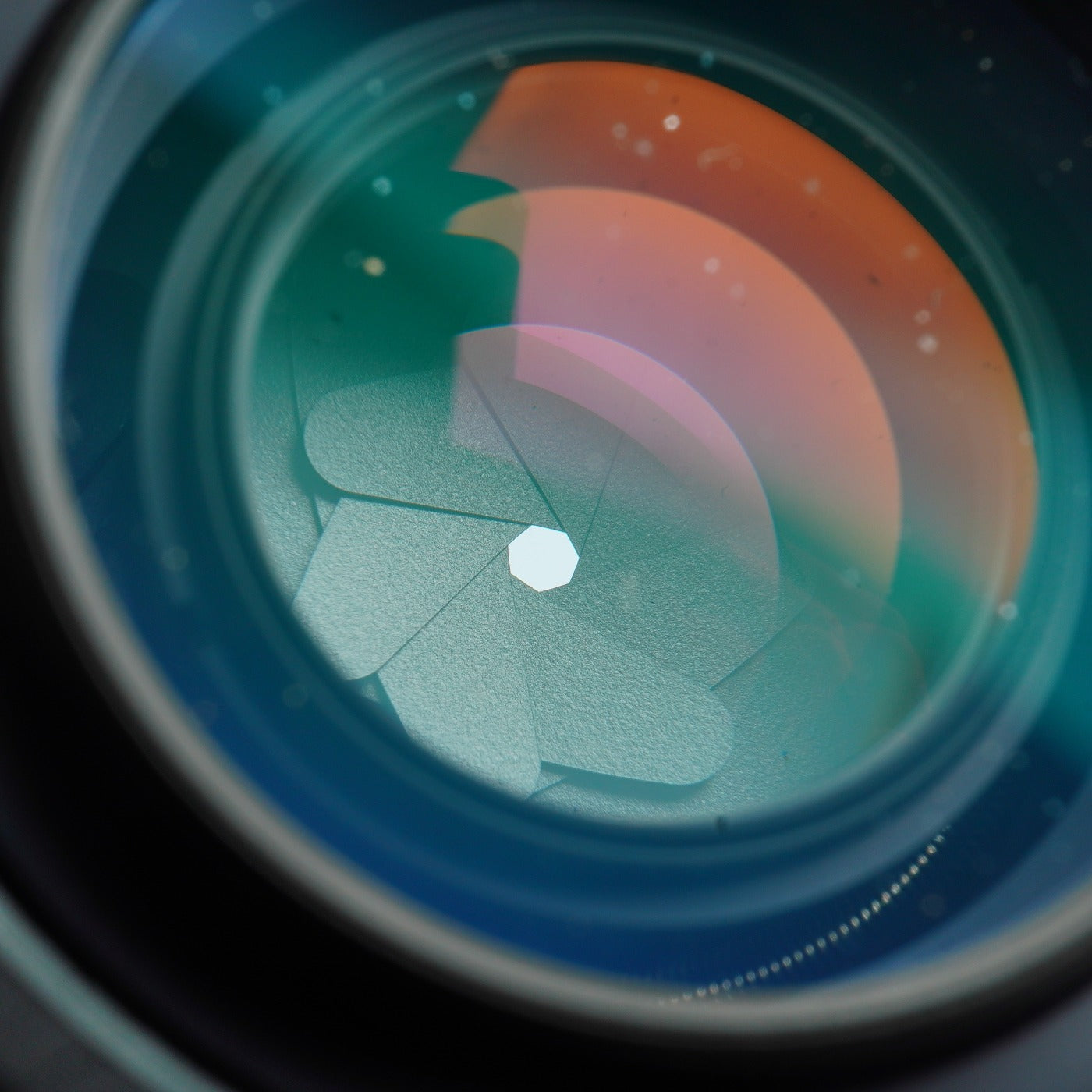 MINOLTA AF Macro 50mm f/2.8 マクロレンズ