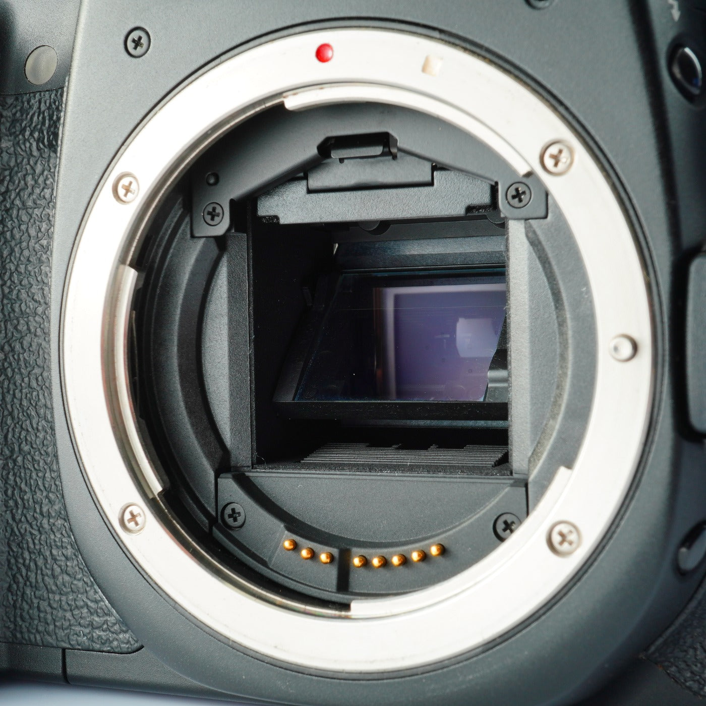 Canon EOS 40D + EF-S 18-55mm F/3.5-5.6 Ⅱ USM デジタル一眼レフカメラ
