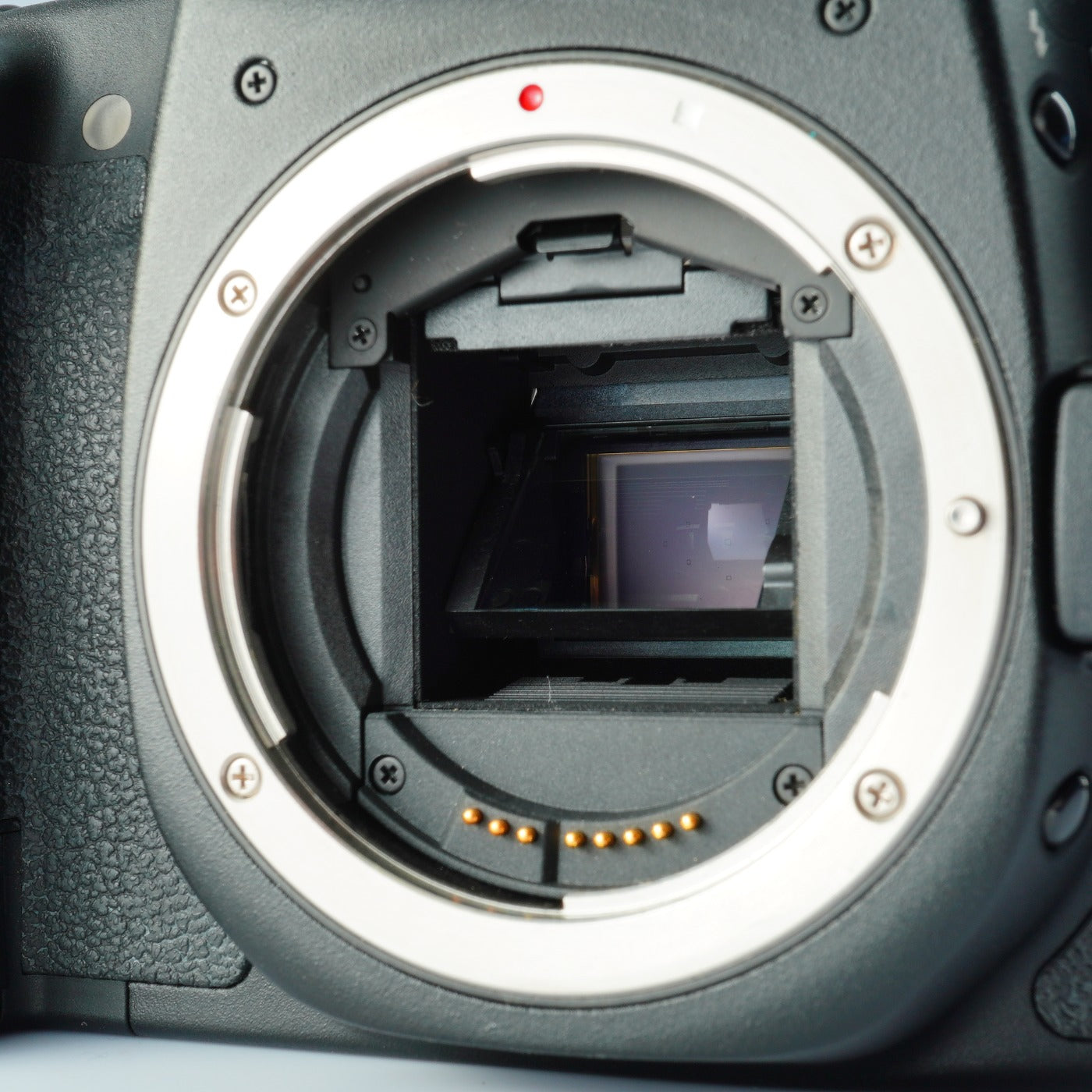 Canon EOS 50D + EF-S 18-55mm F/3.5-5.6 USM デジタル一眼レフカメラ