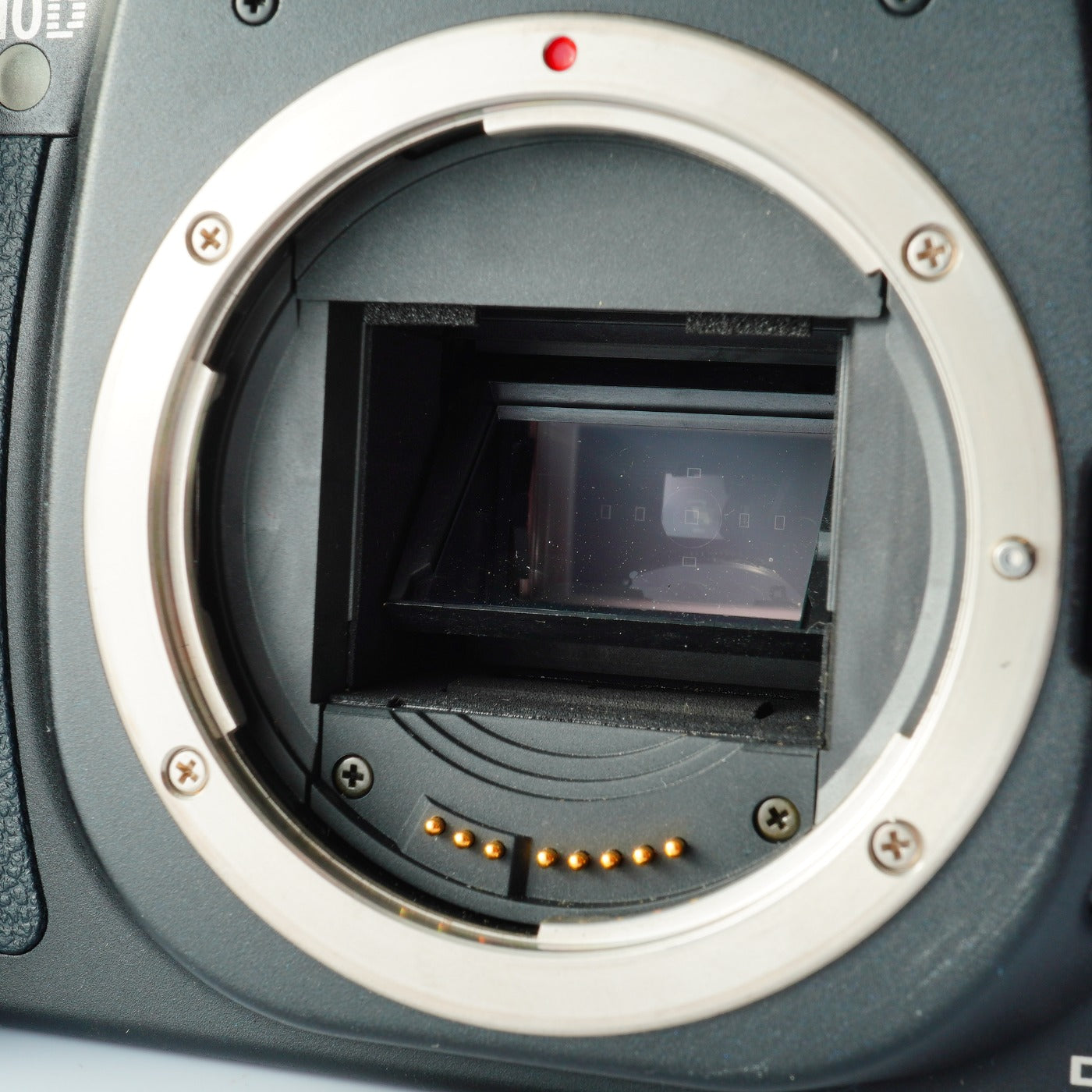 Canon EOS 10D + EF 28-80mm F/3.5-5.6 Ⅳ デジタル一眼レフカメラ
