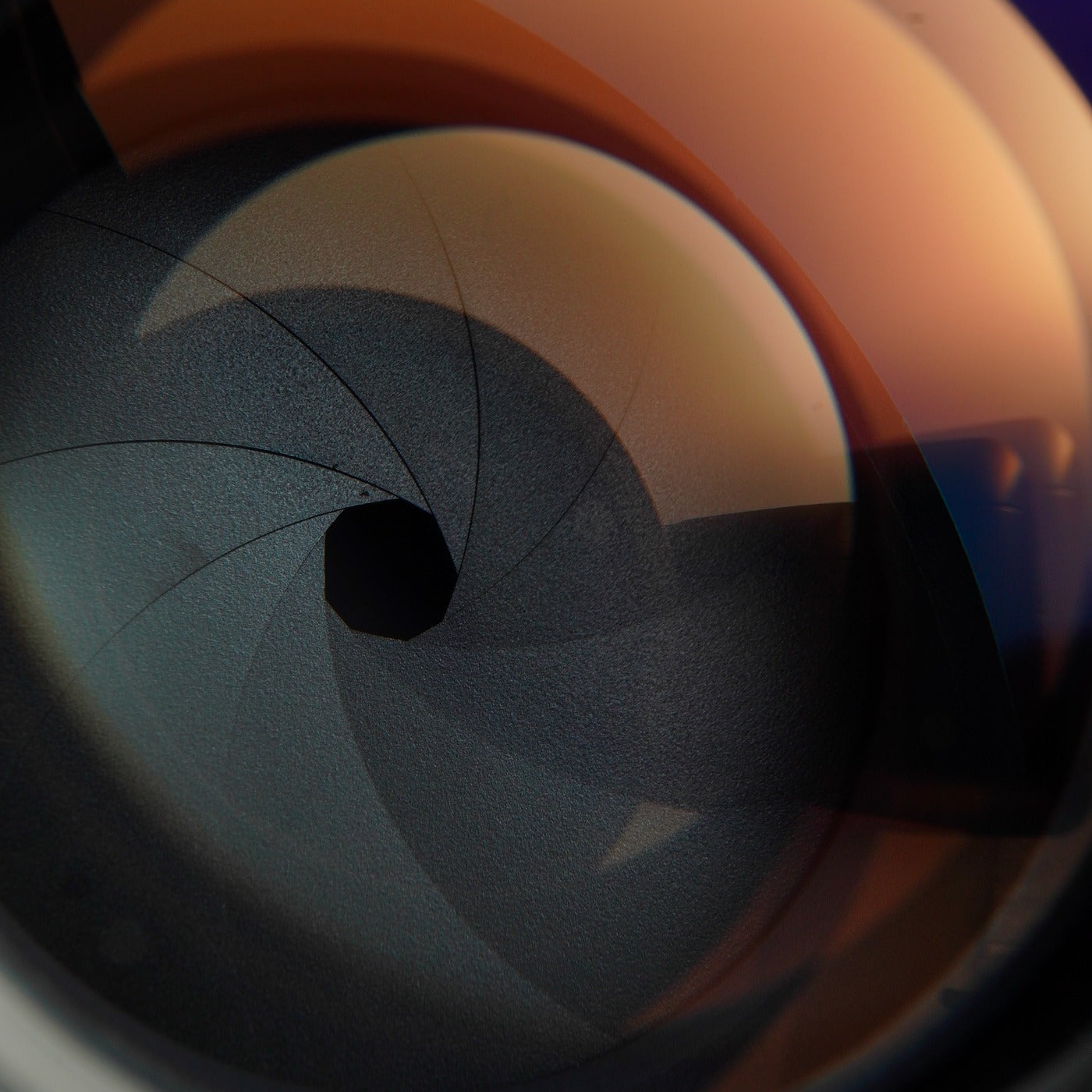 TAMRON SP 90mm F/2.5 + EXTENSION TUBE (Nikon F用) 単焦点レンズ