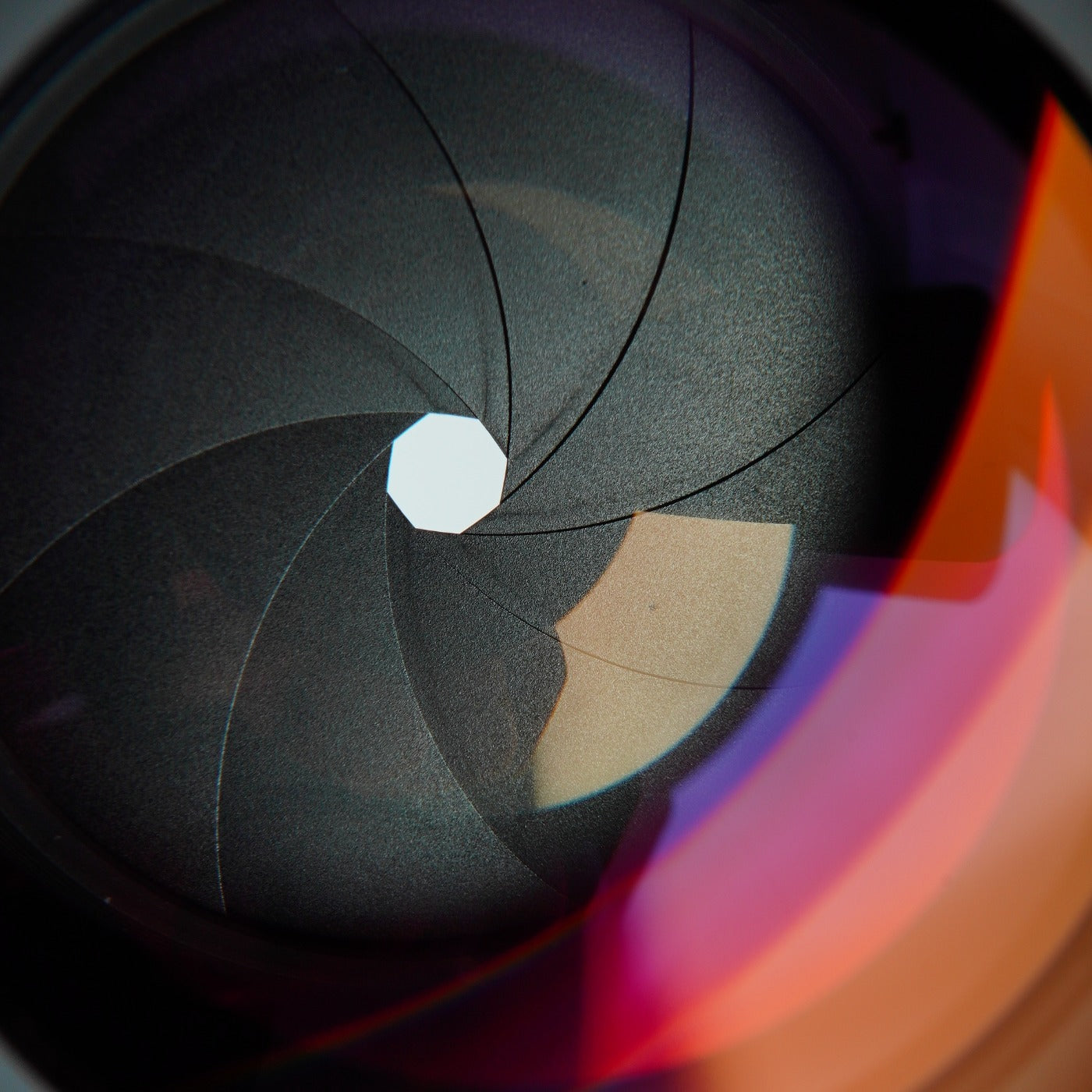 Canon FD 50mm F/1.4 S.S.C A mark 単焦点レンズ