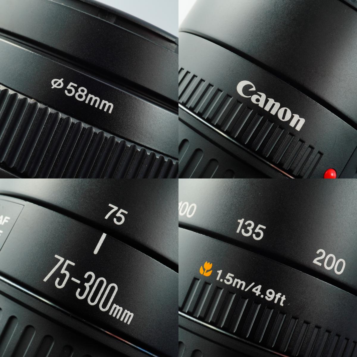 Canon EF 75-300mm F/4-5.6 Ⅱ ズームレンズ