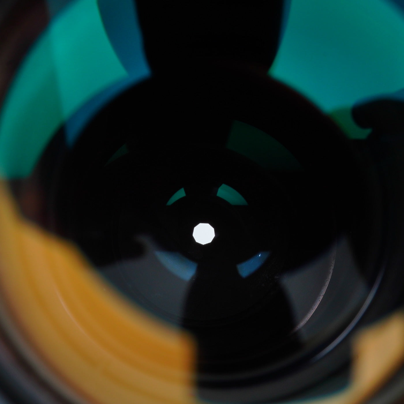 Nikon Ai Micro-Nikkor 200mm f/4 マクロレンズ