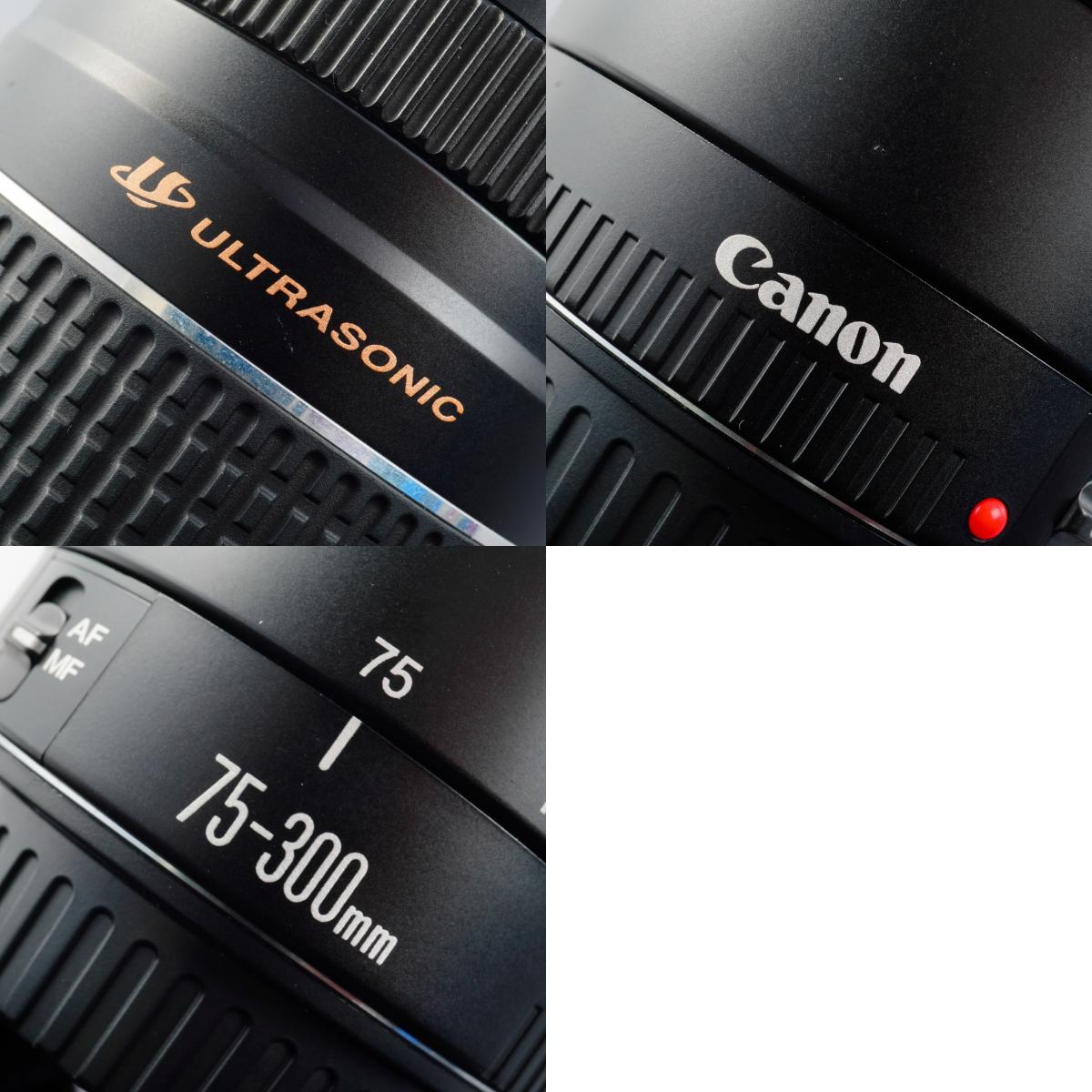 Canon EF 75-300mm F/4-5.6 Ⅲ USM ズームレンズ