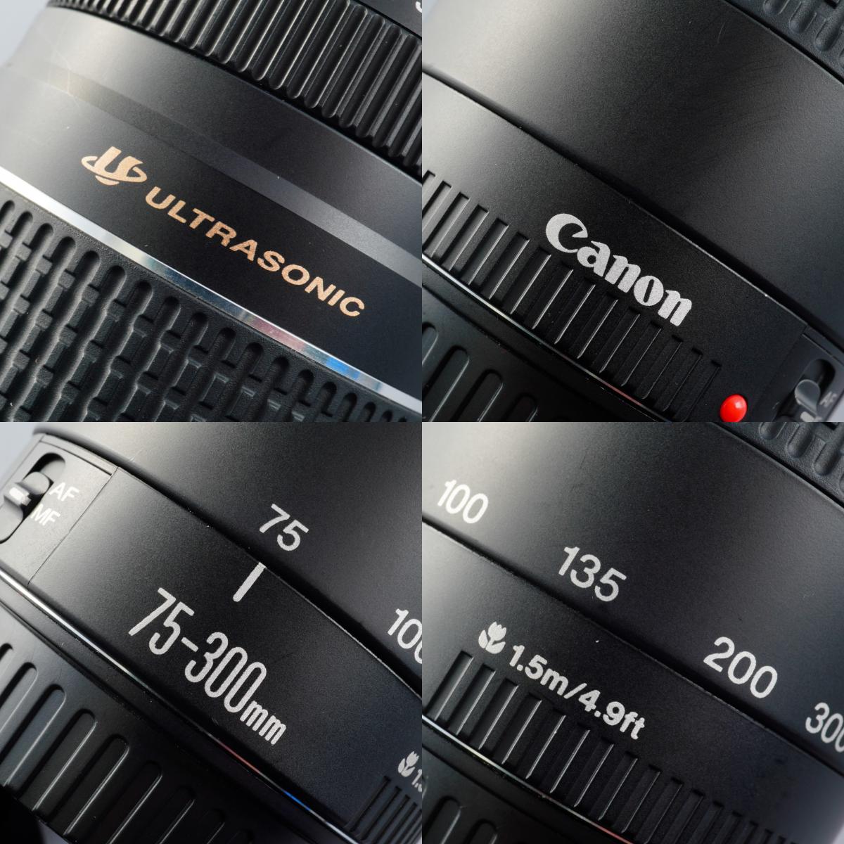 Canon EF 75-300mm F/4-5.6 Ⅲ USM ズームレンズ