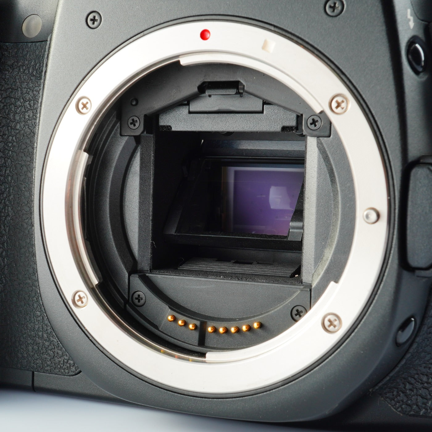 Canon EOS 40D + EF-S 18-55mm F/3.5-5.6 IS Ⅱ + CF 2GB デジタル一眼レフカメラ