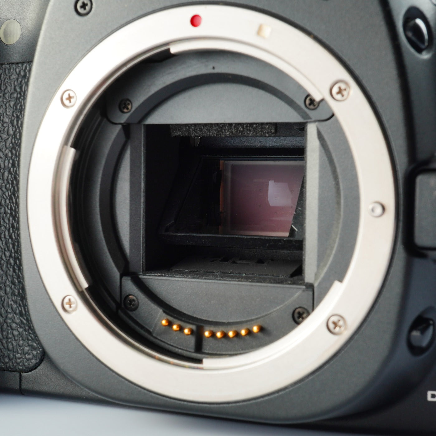 Canon EOS 20D + EF-S 18-55mm F/3.5-5.6 Ⅱ USM デジタル一眼レフカメラ