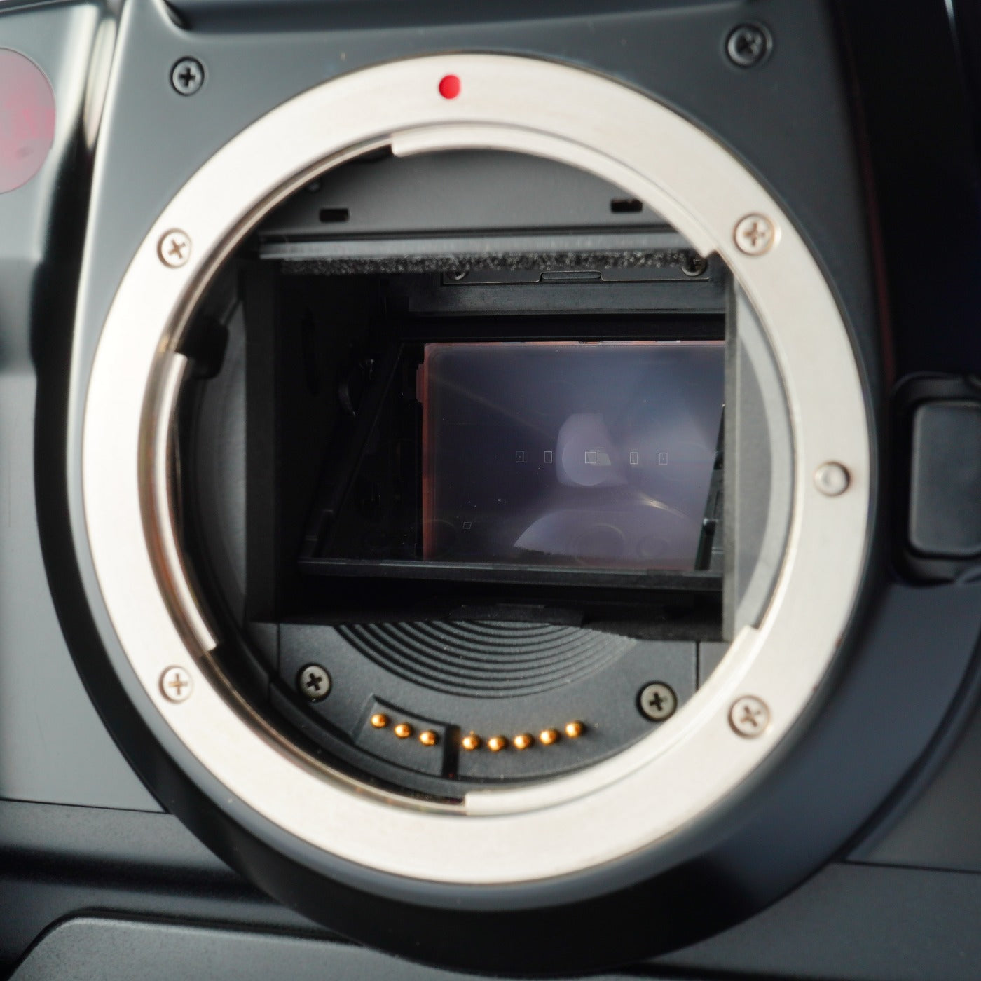 Canon EOS 5 + EF 28-70mm F/3.5-4.5 Ⅱ + VG-10 AF フィルム一眼レフカメラ