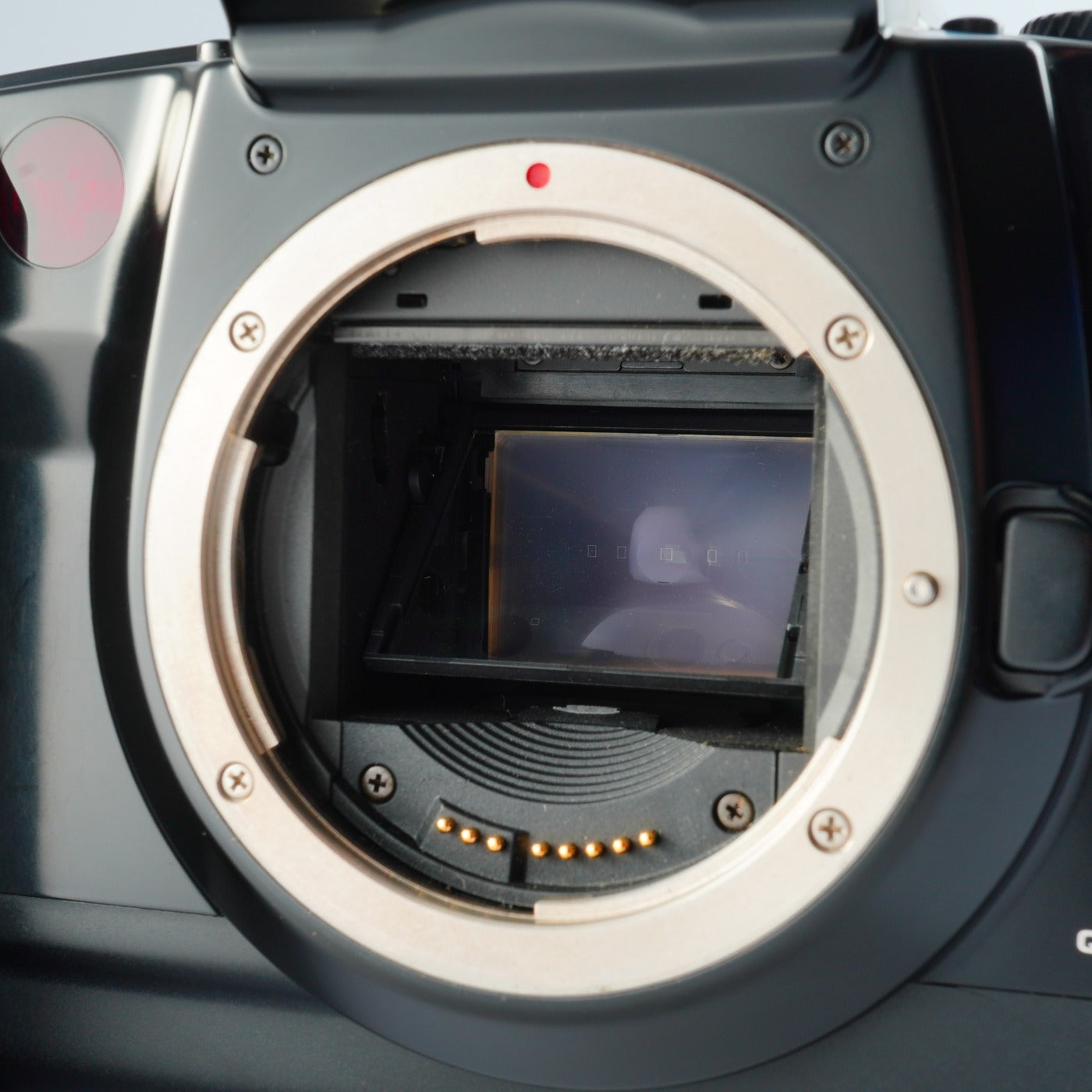Canon EOS 5 + EF 28-70mm F/3.5-4.5 AF フィルム一眼レフカメラ