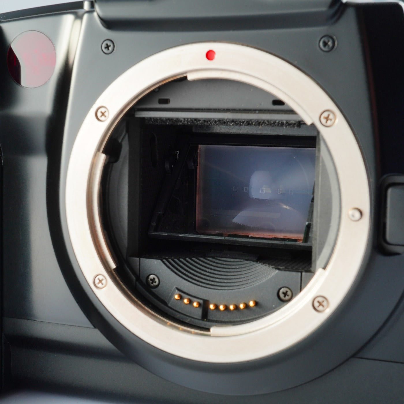 Canon EOS 5 + EF 28-80mmm F/3.5-5.6 Ⅲ AF フィルム一眼レフカメラ