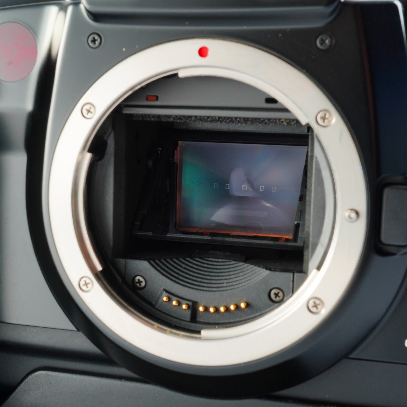 Canon EOS 5 + EF 28-80mmm F/3.5-5.6 Ⅳ + VG-10 AF フィルム一眼レフカメラ