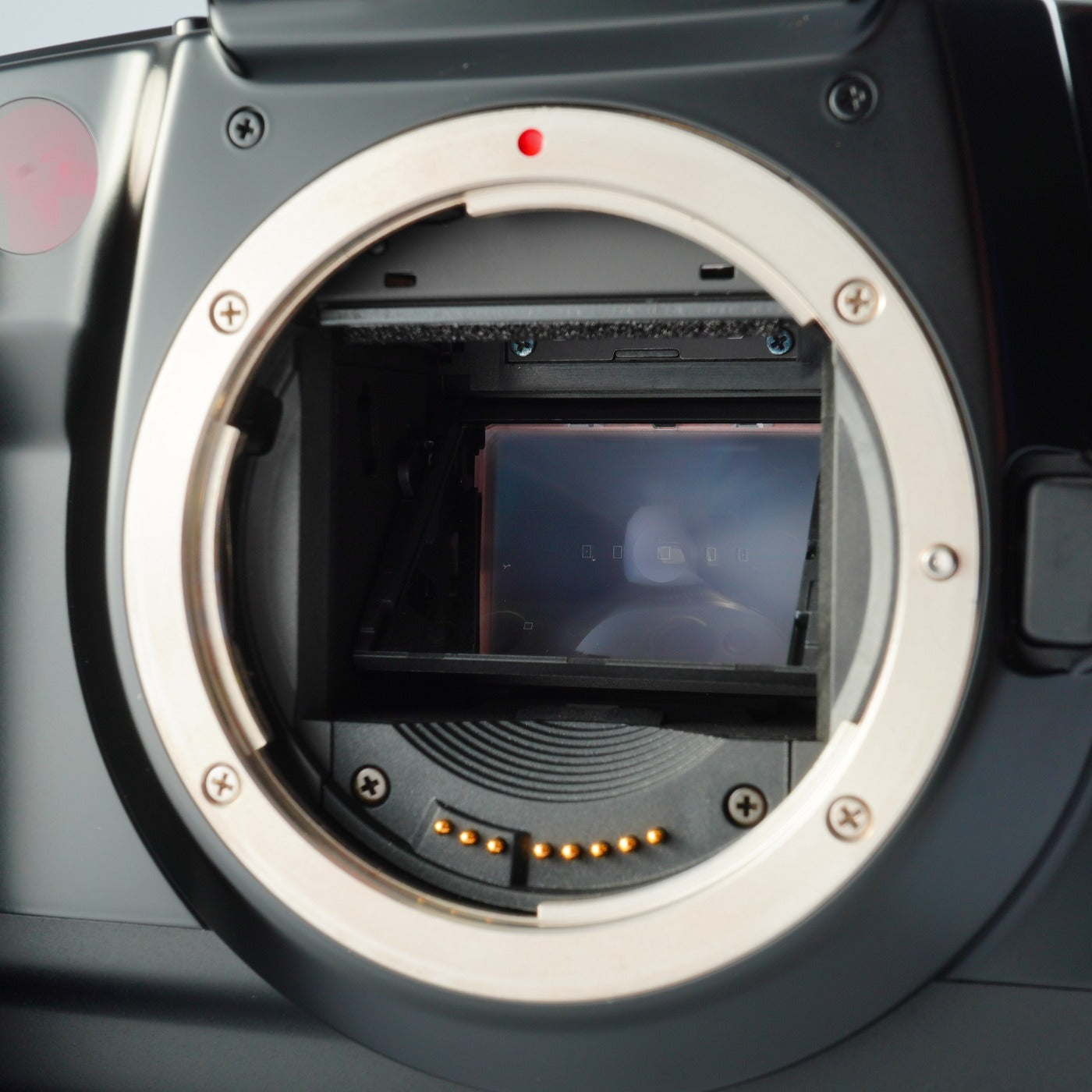Canon EOS 5 + EF 28-70mm F/3.5-4.5 Ⅱ AF フィルム一眼レフカメラ