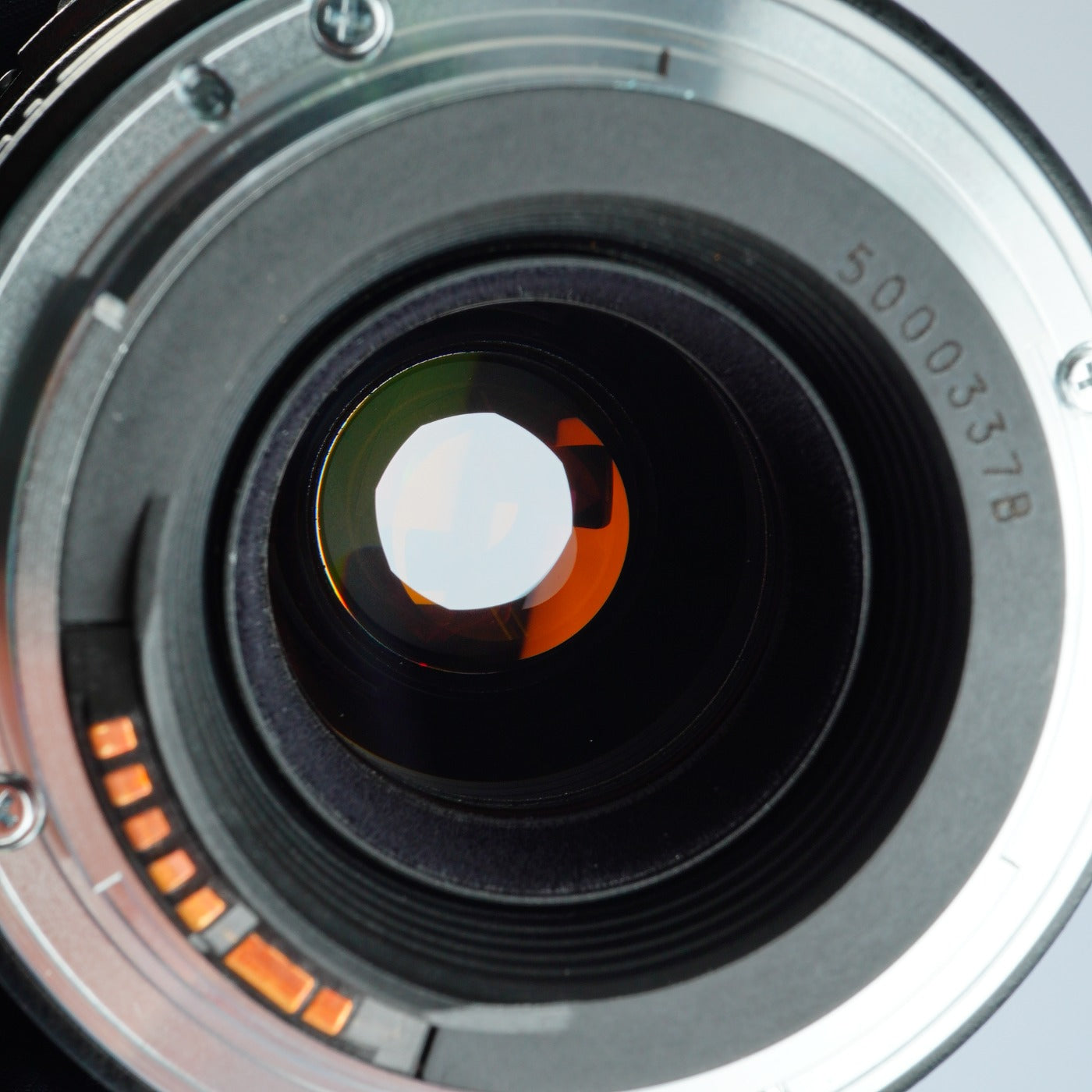 Canon EF 100mm F/2.8 USM Macro 単焦点レンズ
