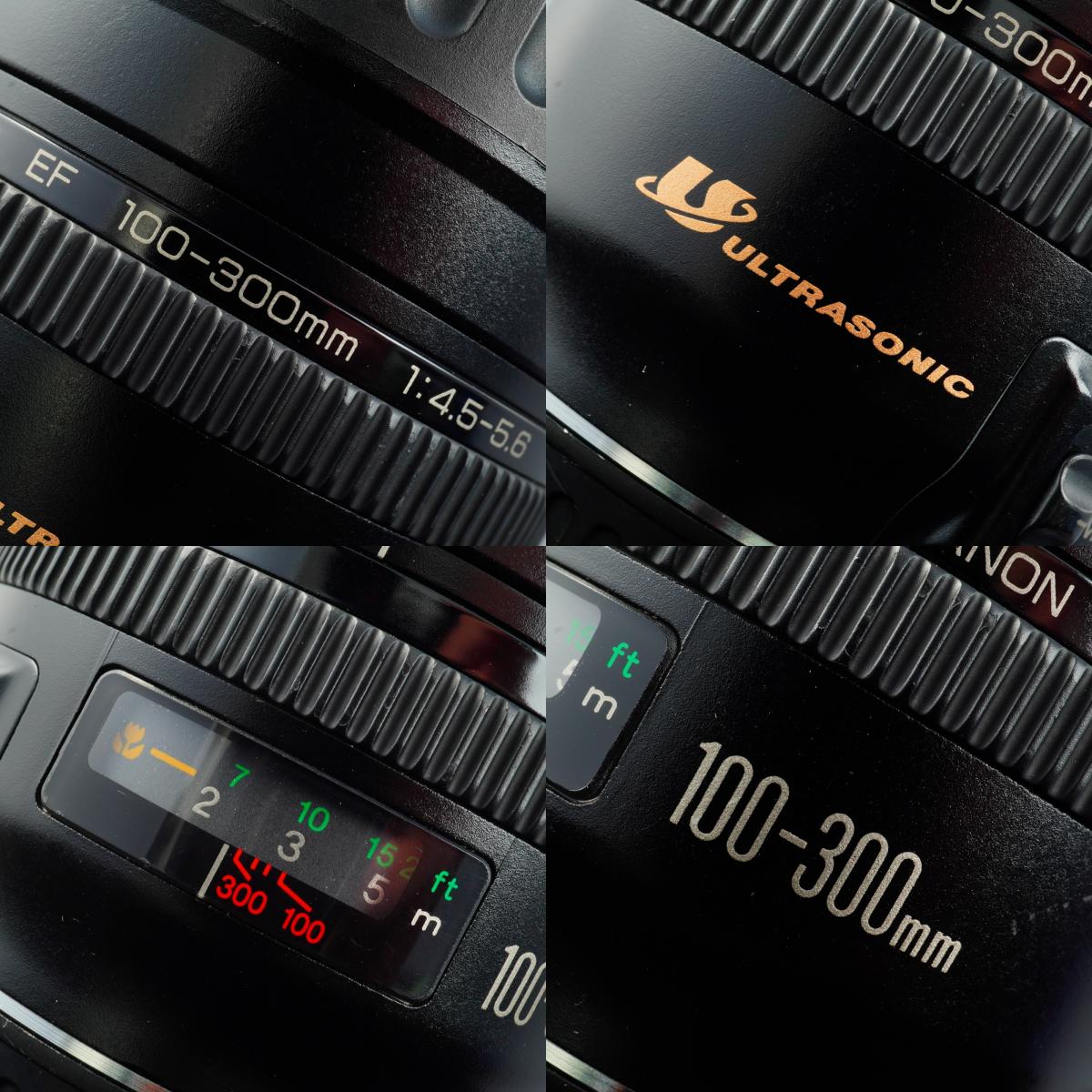 Canon EF 100-300mm F/4.5-5.6 USM ズームレンズ
