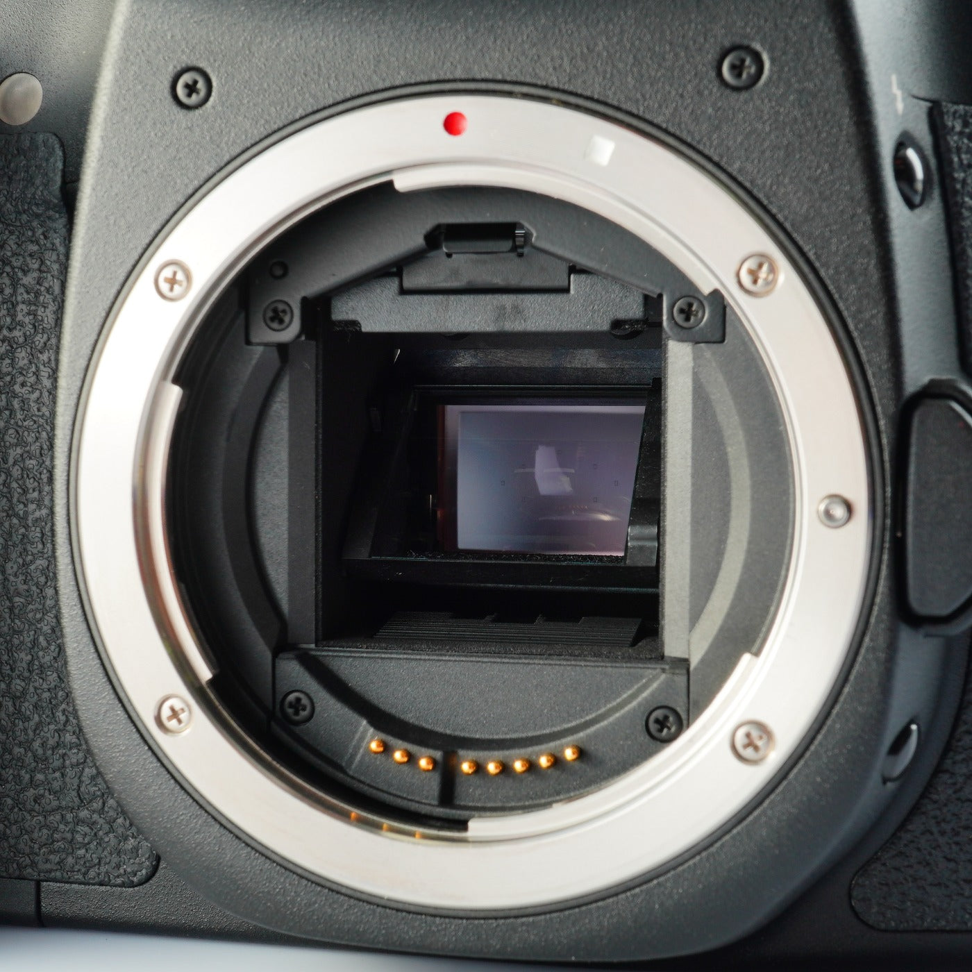 Canon EOS 50D + EP-EX15 Ⅱ + CF 2GB デジタル一眼レフカメラ