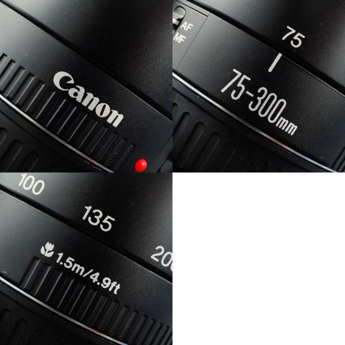 Canon EF 75-300mm F/4-5.6 Ⅲ ズームレンズ
