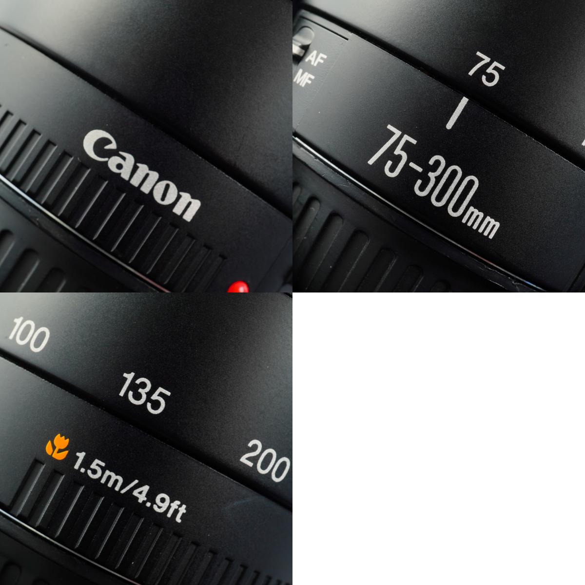 Canon EF 75-300mm F/4-5.6 Ⅱ ズームレンズ