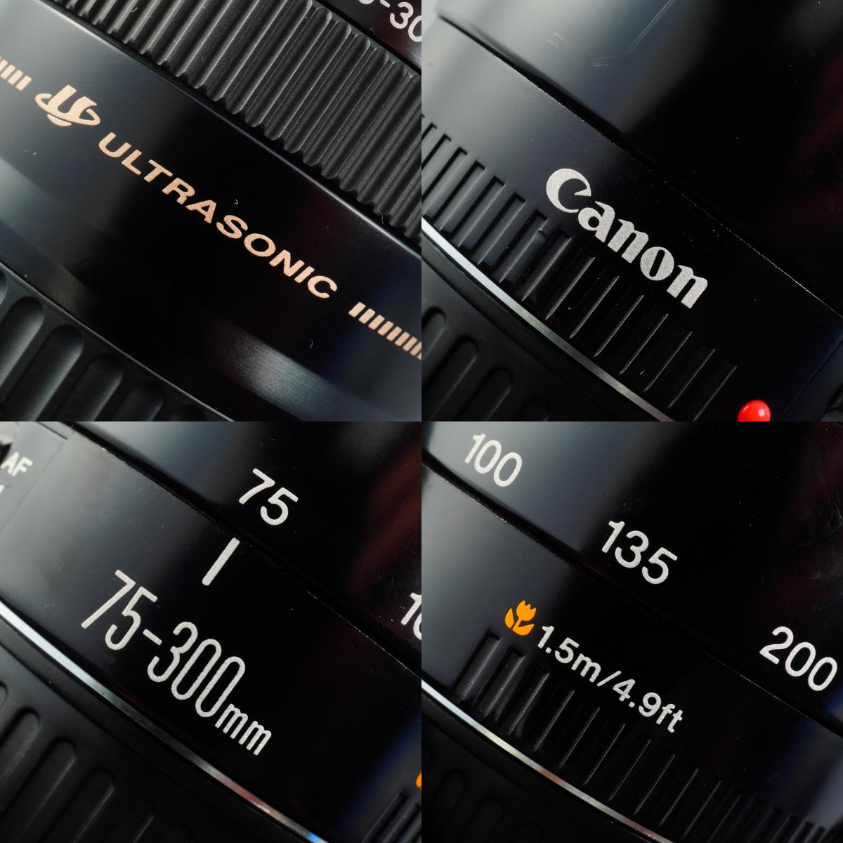 Canon EF 75-300mm F/4-5.6 ズームレンズ