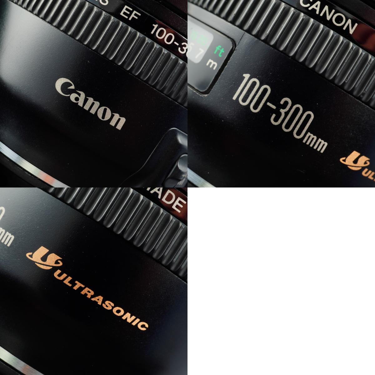 Canon EF 100-300 F/4.5-5.6 ズームレンズ