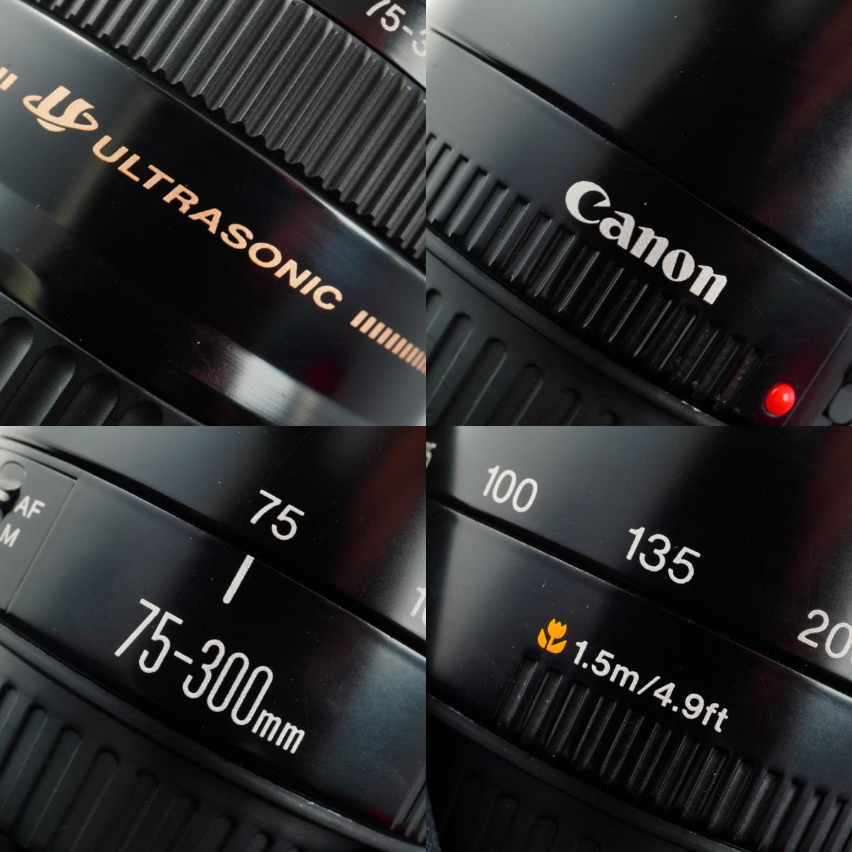 Canon EF 75-300mm F/4-5.6 USM ズームレンズ