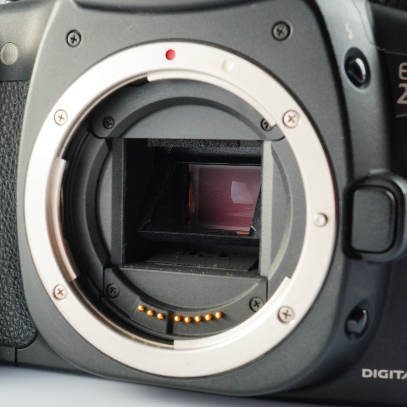 Canon EOS 20D + EF-S 18-55mm F/3.5-5.6 USM + CF 512MB デジタル一眼レフカメラ