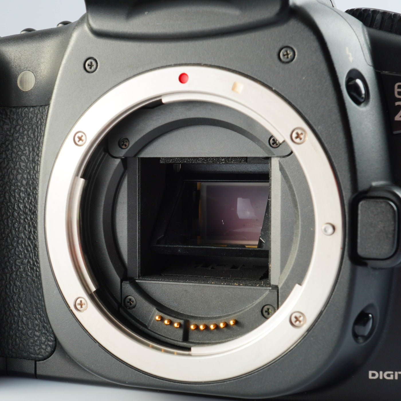 Canon EOS 20D + EF-S 18-55mm F/3.5-5.6 Ⅱ USM デジタル一眼レフカメラ