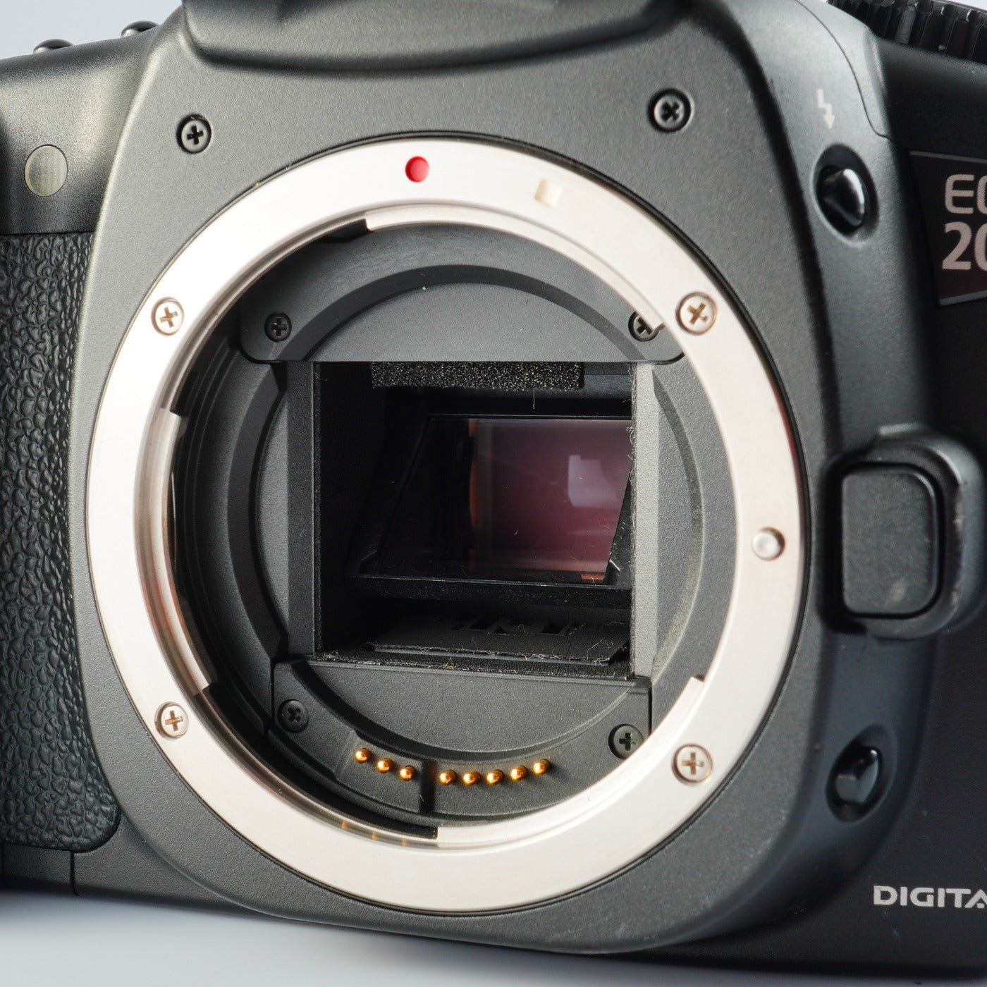 Canon EOS 20D + EF-S 18-55mm F/3.5-5.6 Ⅱ USM デジタル一眼レフカメラ