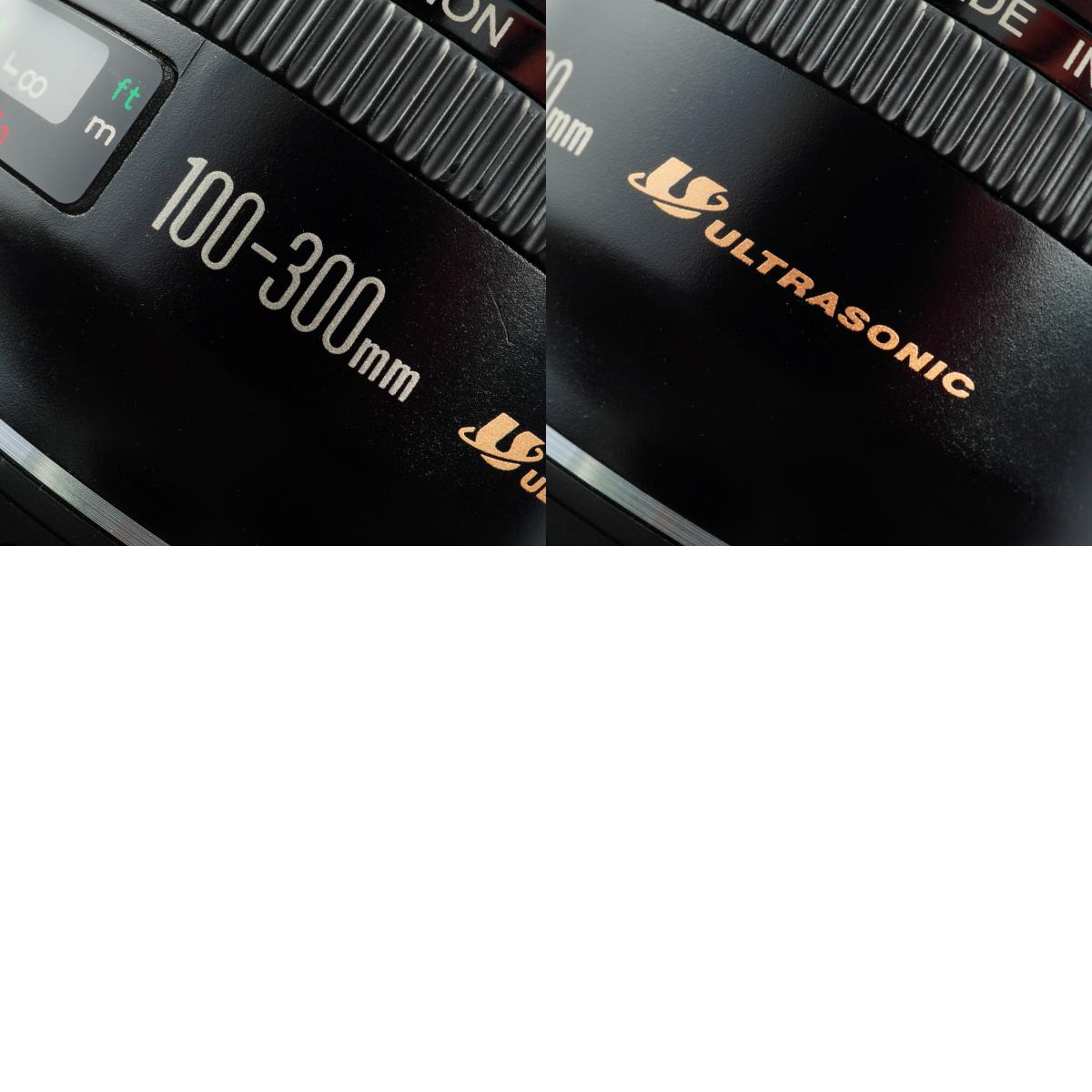 Canon EF 100-300 F/4.5-5.6 Ultrasonic ズームレンズ