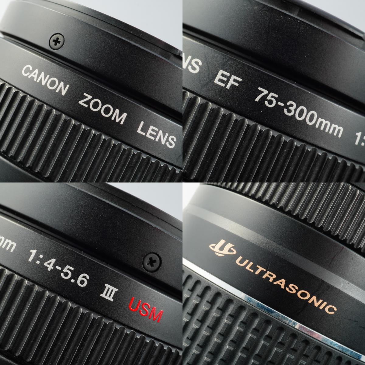 Canon EF 75-300mm F/4-5.6 Ⅲ USM ズームレンズ