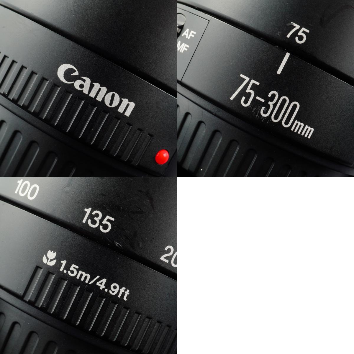 Canon EF 75-300mm F/4-5.6 Ⅲ USM ズームレンズ