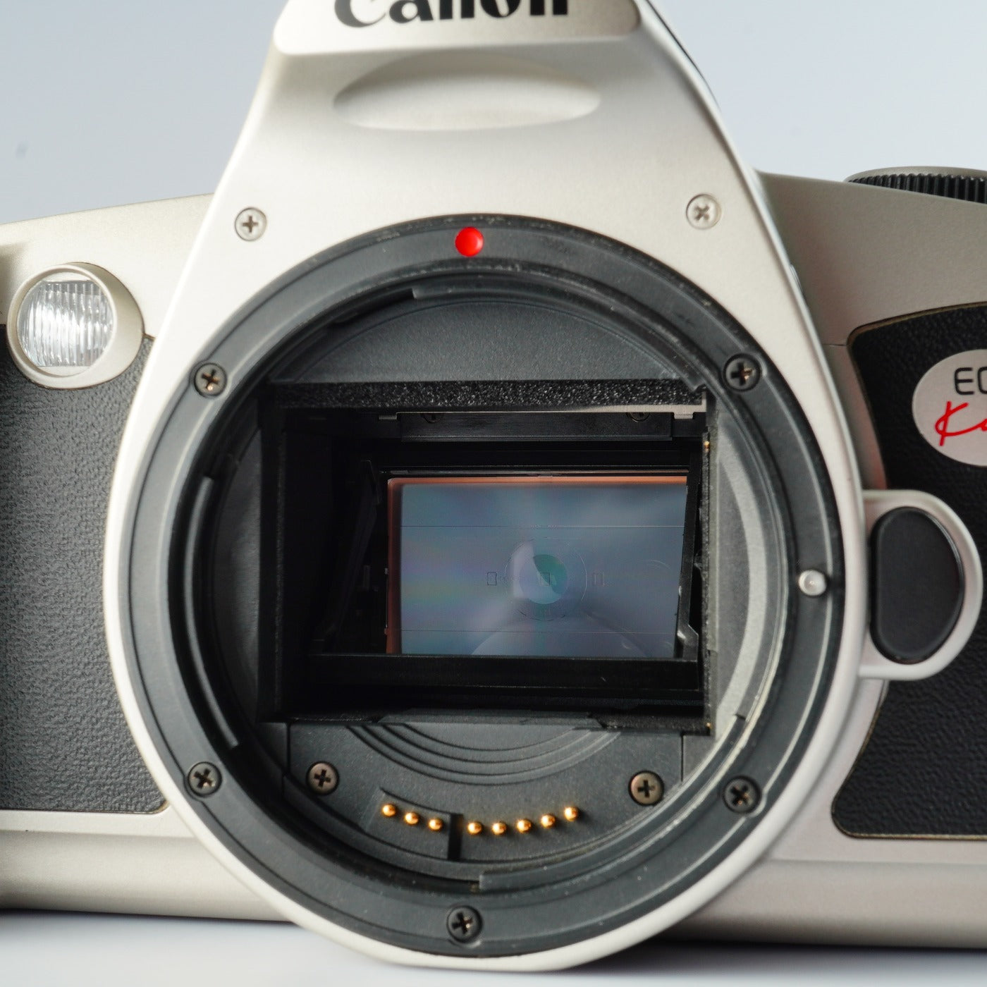 Canon New EOS kiss (REBEL G) + EF 28-90mm F/4-5.6 USM AF フィルム一眼レフカメラ
