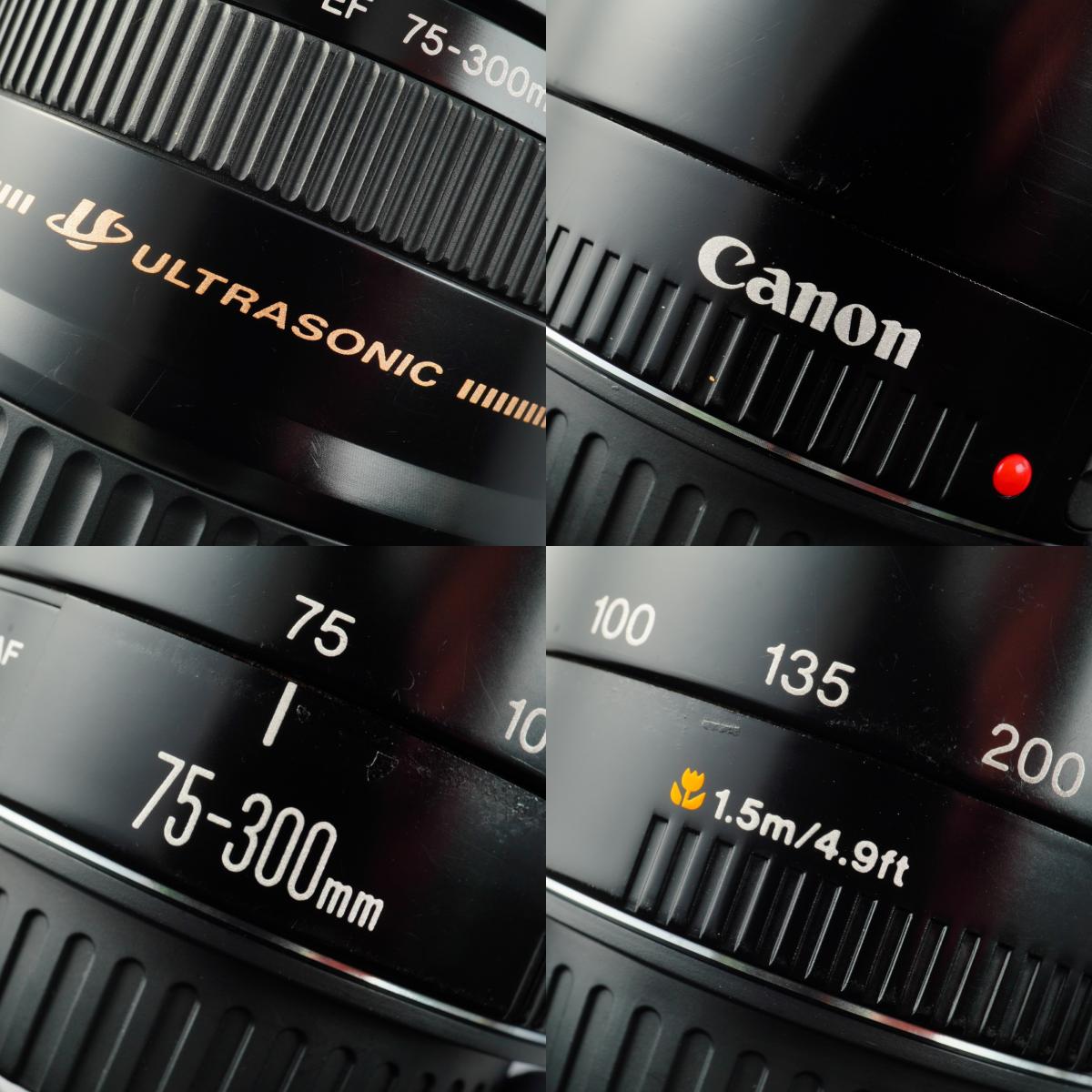 Canon EF 75-300mm F/4-5.6 USM ズームレンズ