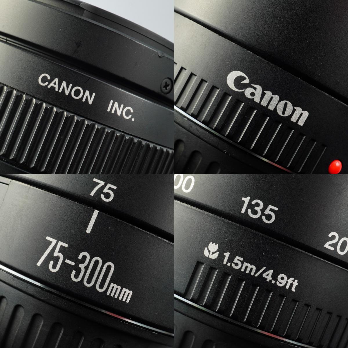 Canon EF 75-300mm F/4-5.6 Ⅲ USM ズームレンズ