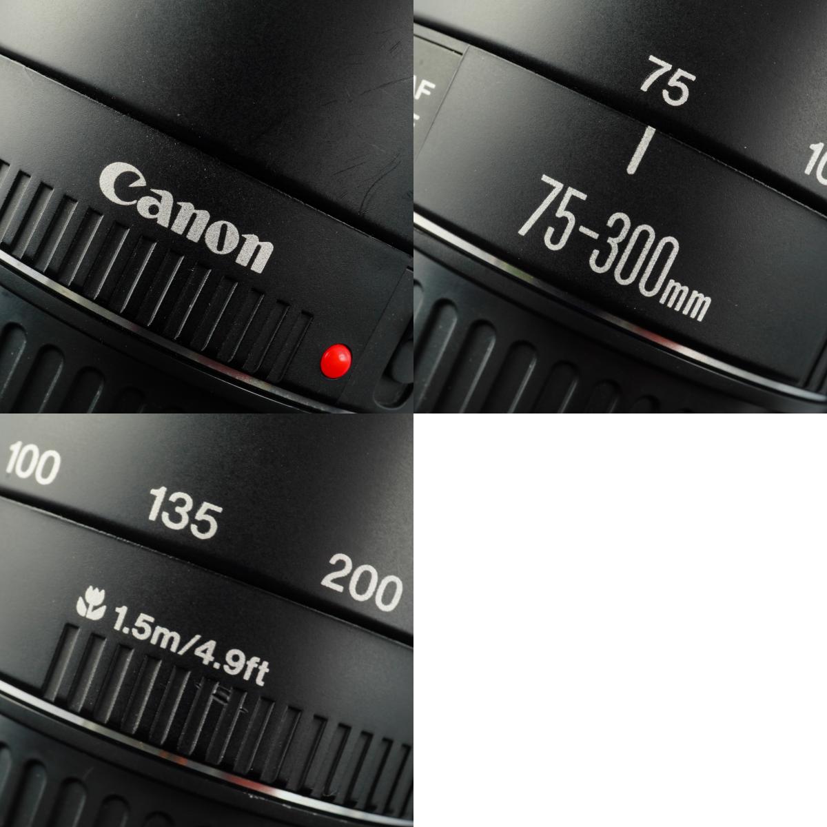 Canon EF 75-300mm F/4-5.6 Ⅲ ズームレンズ