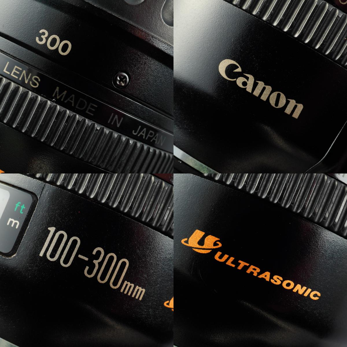 Canon EF 100-300mm F/4.5-5.6 USM ズームレンズ