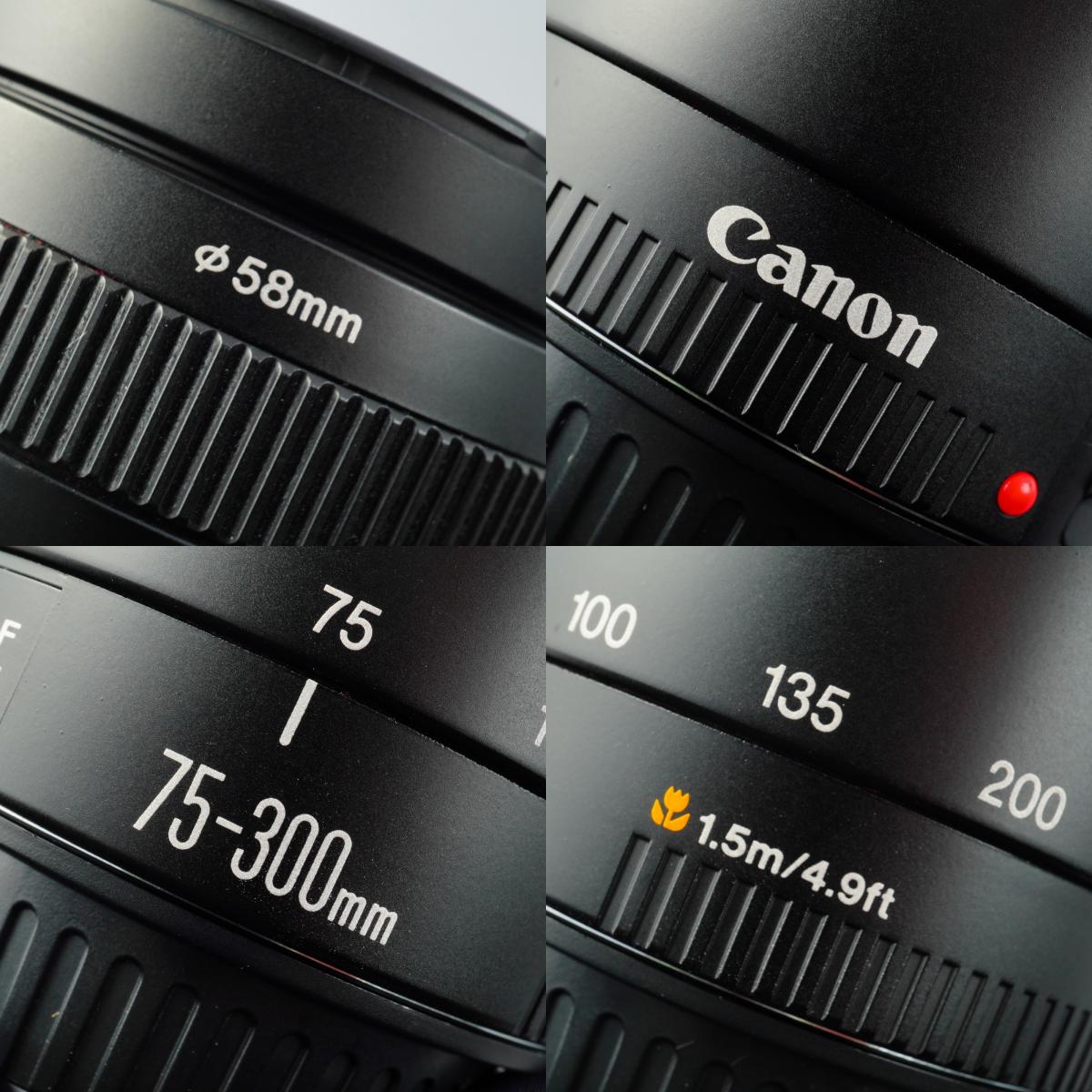 Canon EF 75-300mm F/4-5.6 Ⅱ ズームレンズ