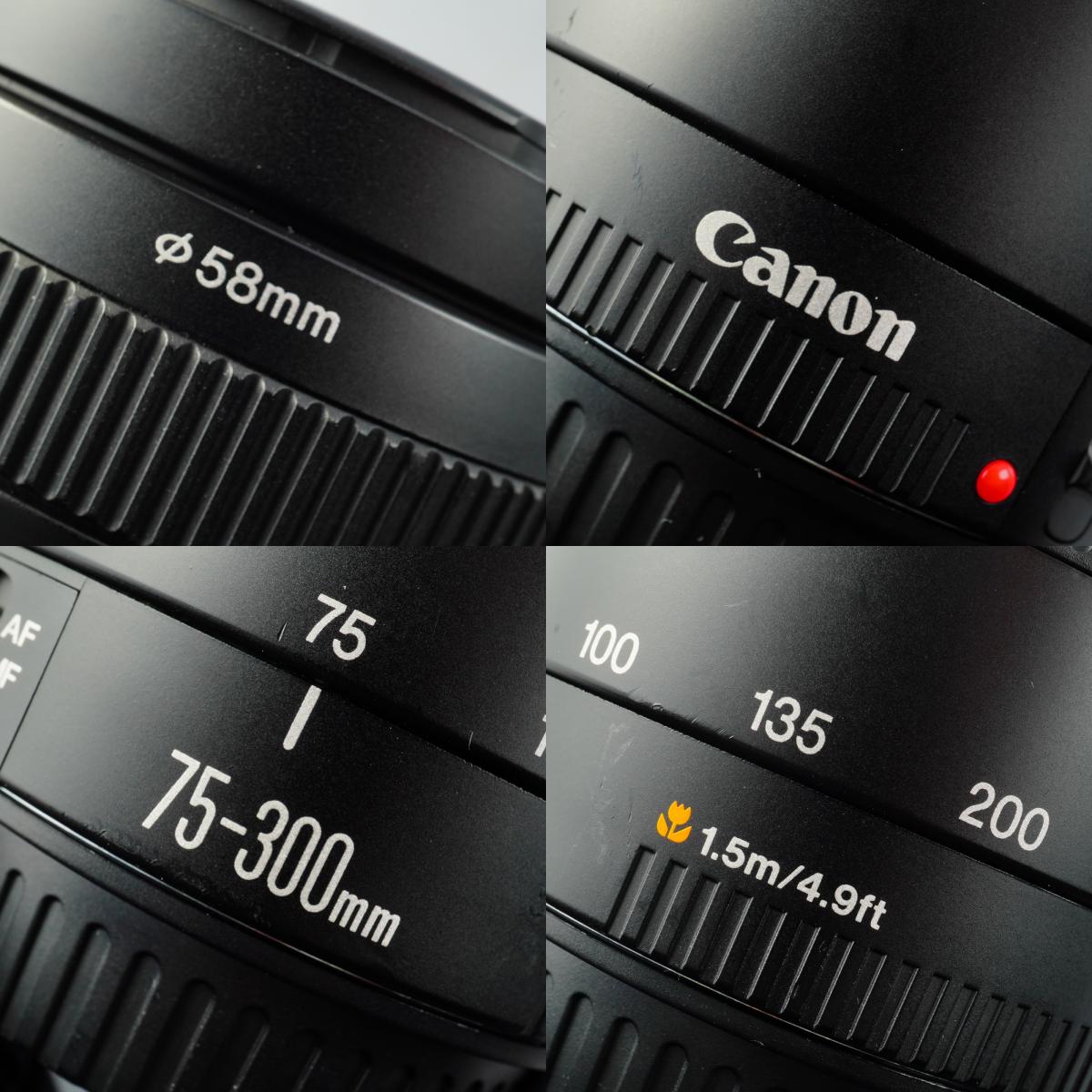 Canon EF 75-300mm F/4-5.6 Ⅱ ズームレンズ