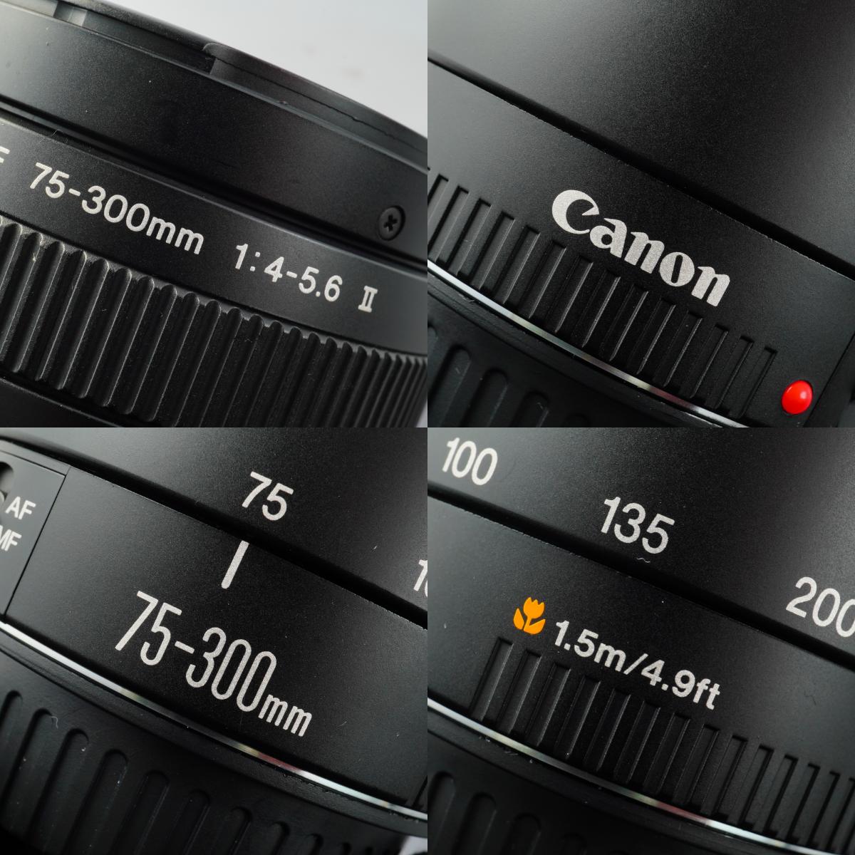 Canon EF 75-300mm F/4-5.6 Ⅱ ズームレンズ