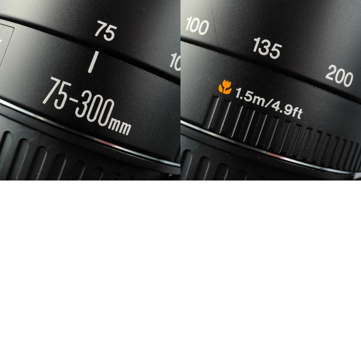 Canon EF 75-300mm F/4-5.6 Ⅱ USM ズームレンズ