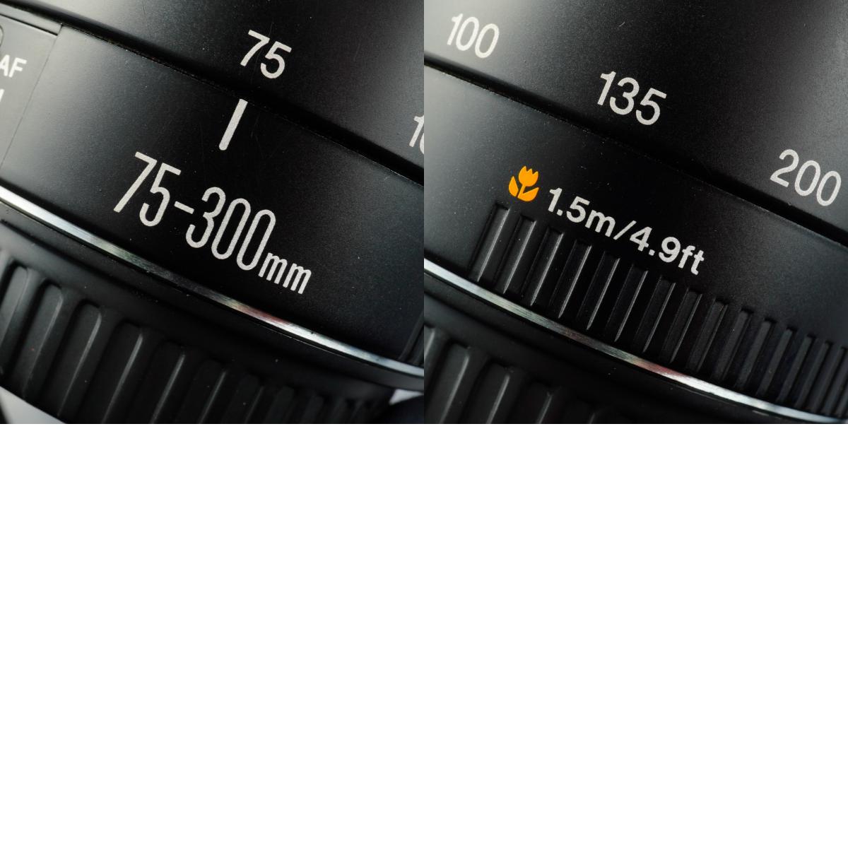 Canon EF 75-300mm F/4-5.6 Ⅱ ズームレンズ