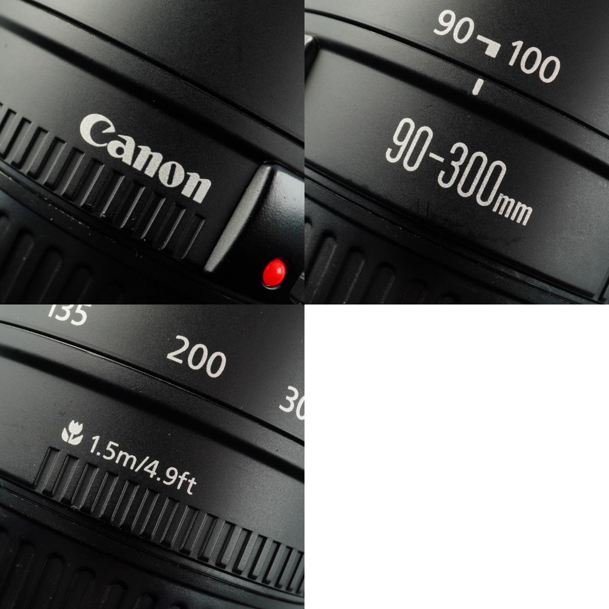 Canon EF 90-300mm F/4.5-5.6 ズームレンズ