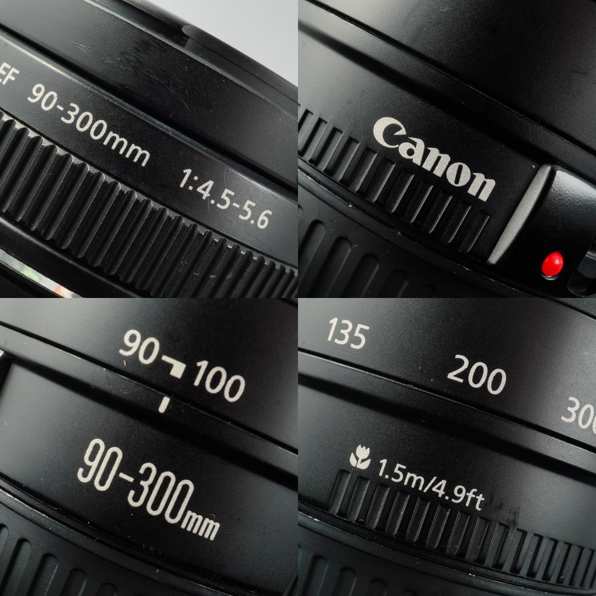 Canon EF 90-300mm F/4.5-5.6 ズームレンズ