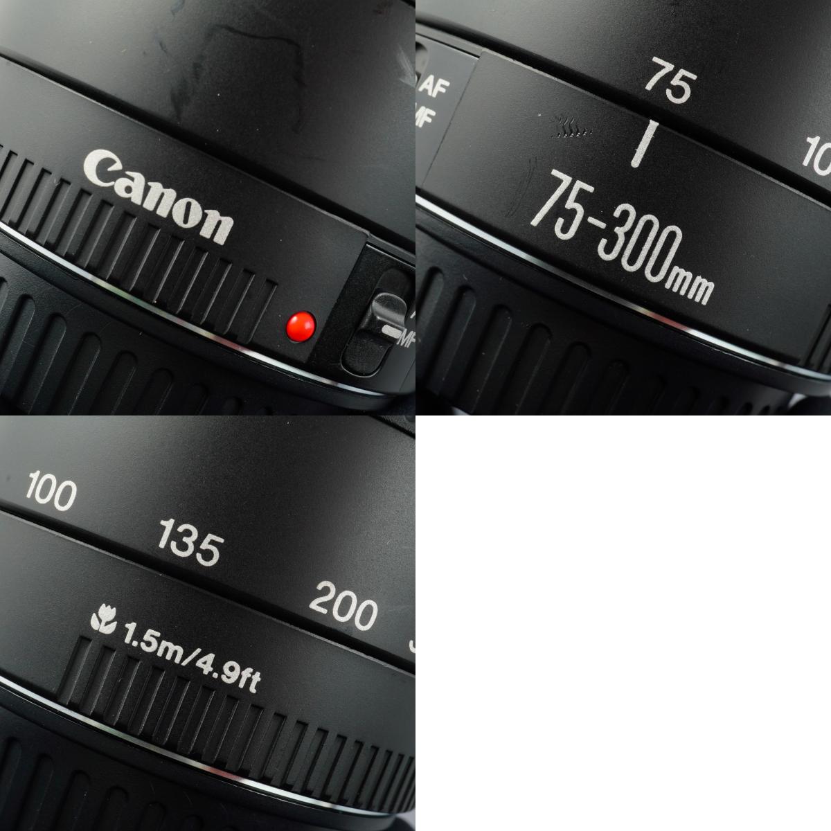 Canon EF 75-300mm F/4-5.6 III Zoomobjektiv