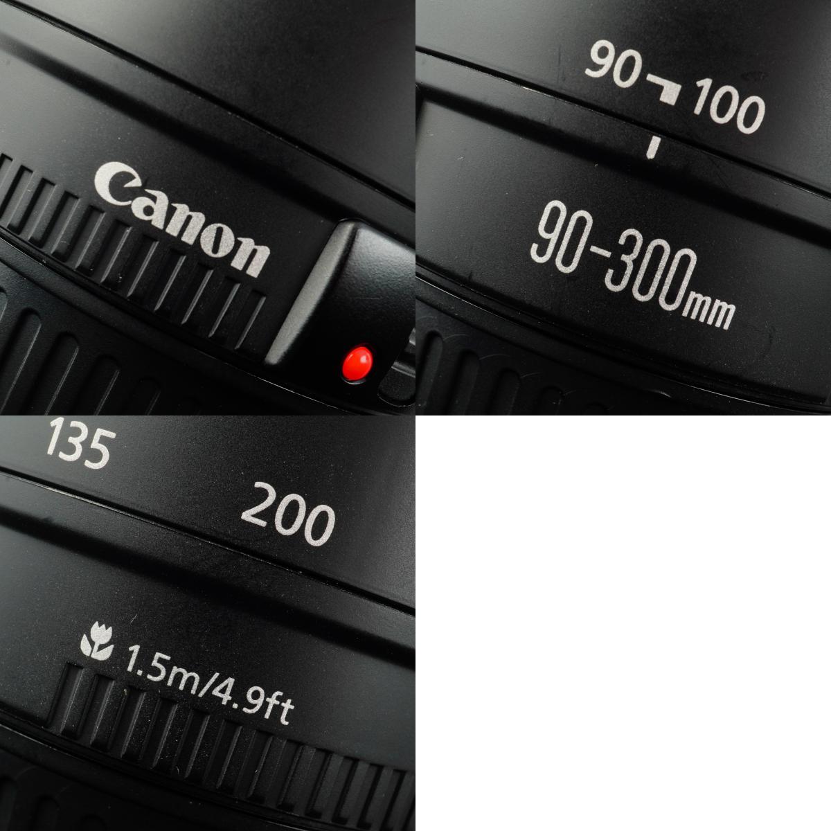 Canon EF 90-300mm F/4.5-5.6 Zoom Lens