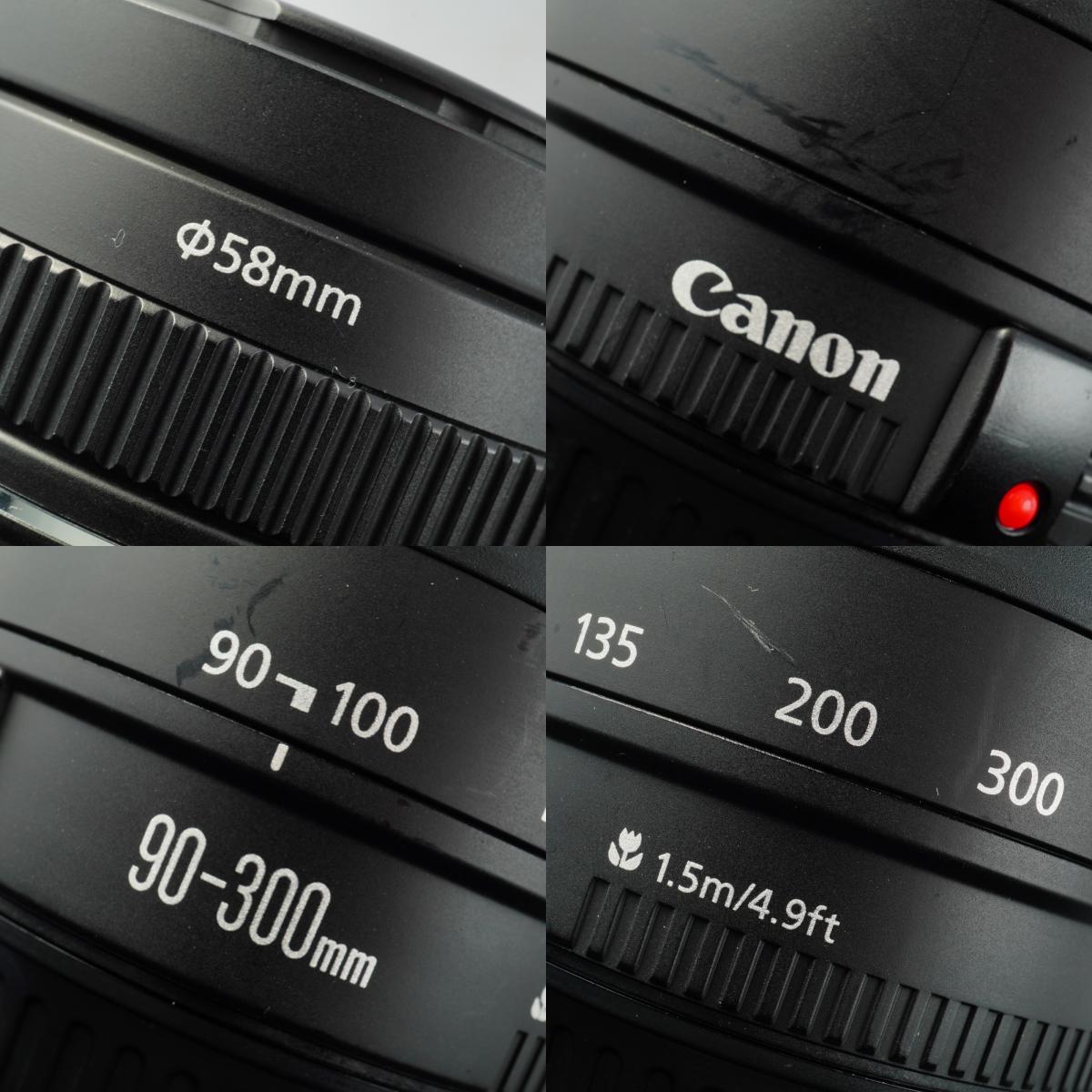 Canon EF 90-300mm F/4.5-5.6 ズームレンズ
