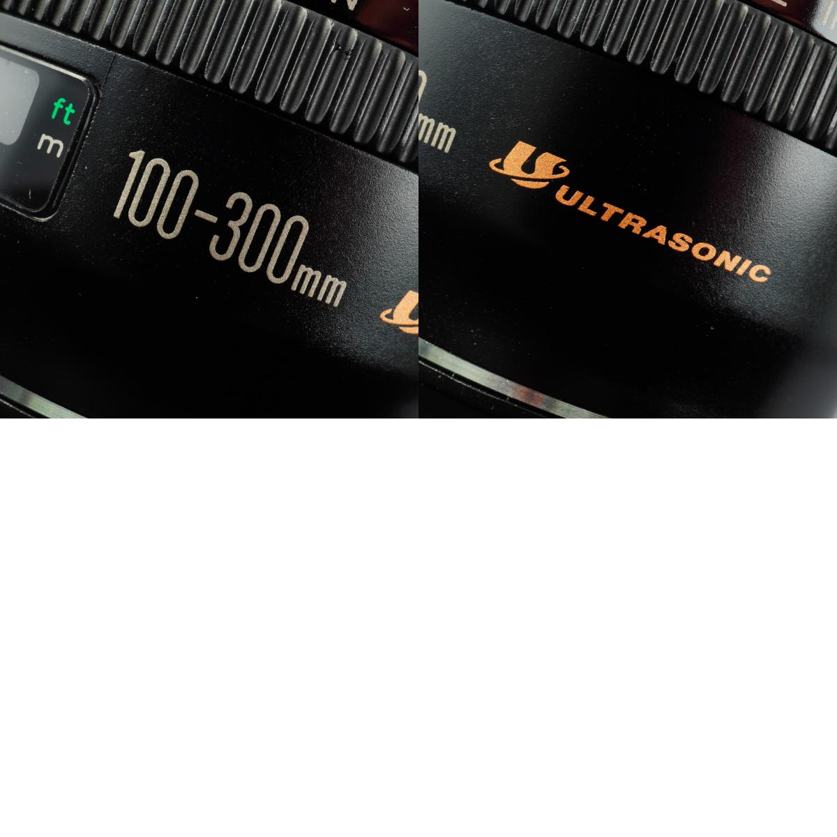 Canon EF 100-300mm F/4.5-5.6 USM Zoomobjektiv