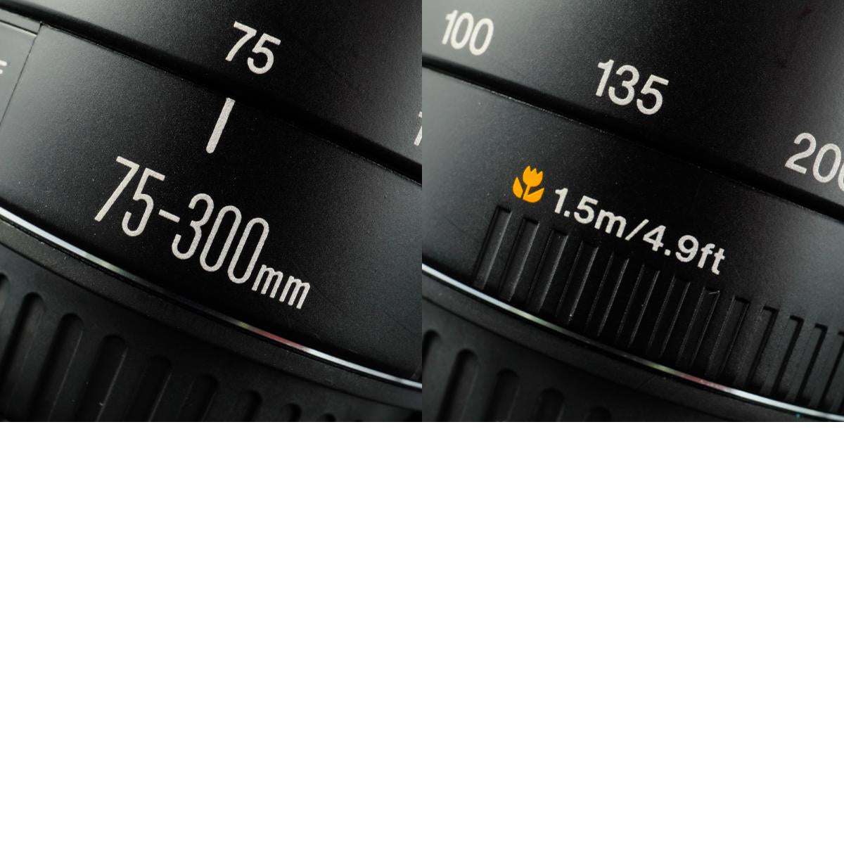 Canon EF 75-300mm F/4-5.6 II USM Zoom Lens