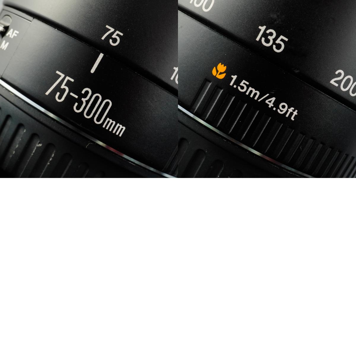 Canon EF 75-300mm F/4-5.6 II USM Zoomobjektiv